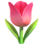 /static/images/emoji/pic_tulip